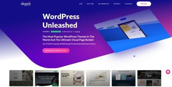 Divi by Elegantthemes