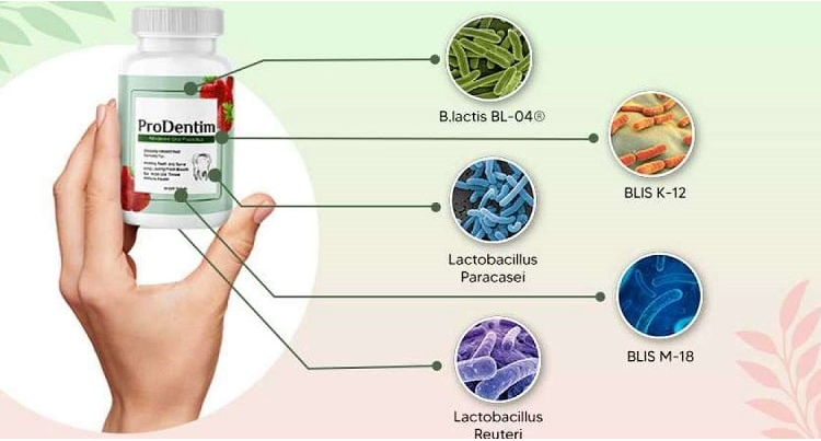 Prodentim Ingredients